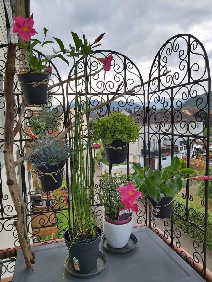 מונסטר Appartement Au Cigogneau Wifi-Netflix-Balcon-Parking מראה חיצוני תמונה